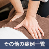 その他の症例一覧